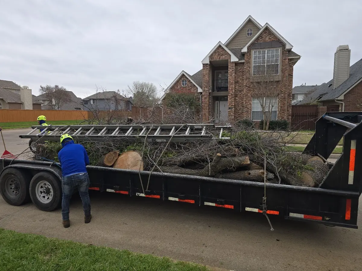 Expert Tree Fertilization with proper safety equipment in Mount Blanchard